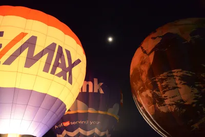 DSC_2427 (Large).JPG